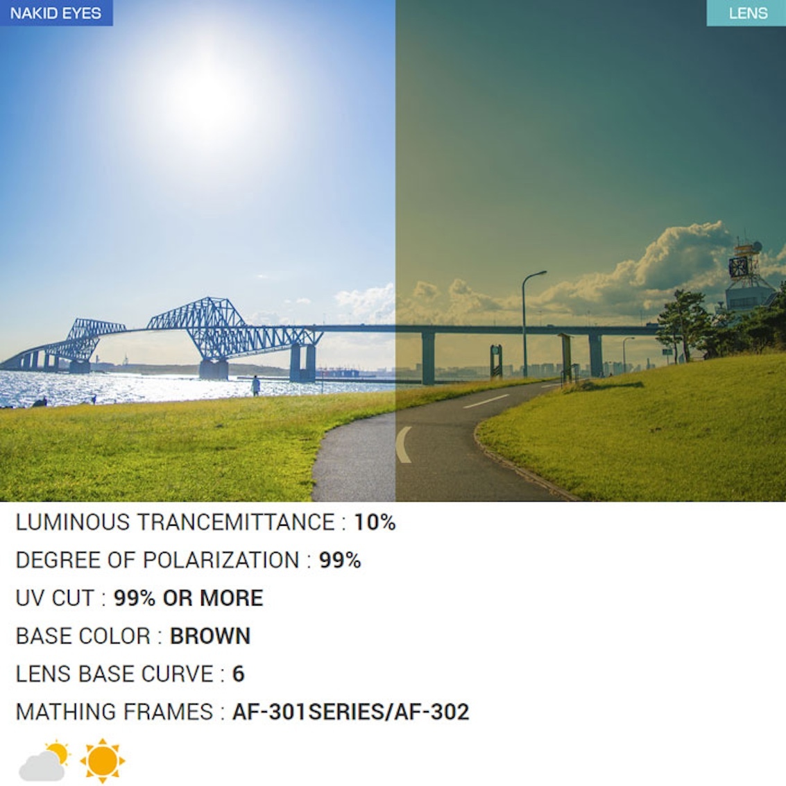 日本製 AirFly AF-301 C-5 WV 運動廣角太陽眼鏡 (近視框不適用)