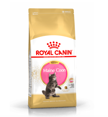 Royal Canin - 幼貓乾糧 - 緬因幼貓專屬配方 (10KG)