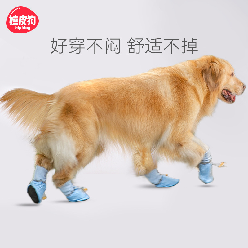 宠物鞋子 大狗鞋子 透气鞋