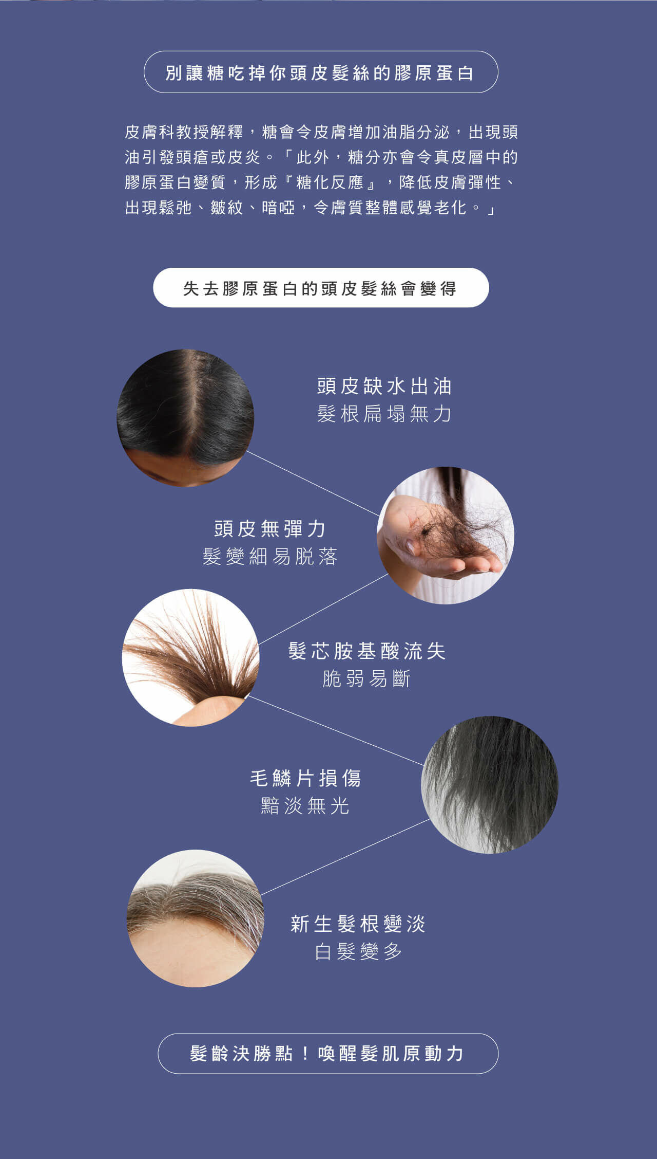 糖化反應會損傷頭皮與髮絲，導致膠原蛋白流失、頭皮缺水出油、髮根扁塌，頭髮易斷易掉。