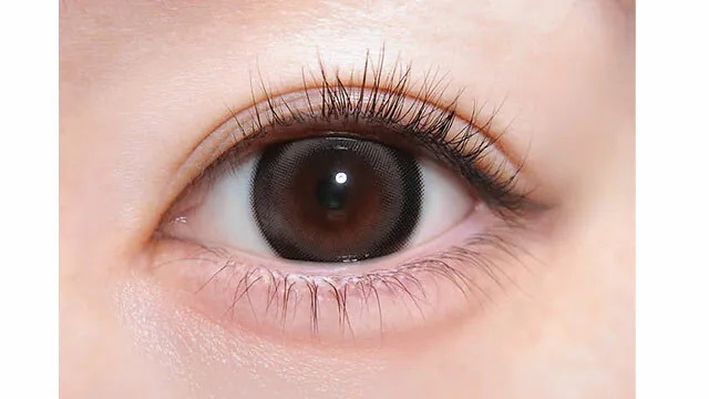 [日拋] TORICONINARU 1 Day Dekiai Gray 溺愛グレー｜日拋彩妝隱形眼鏡｜每盒10片