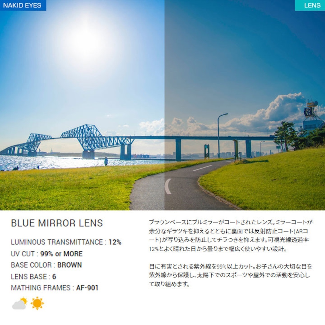 日本製 AirFly AF-901 C-3 兒童運動太陽眼鏡