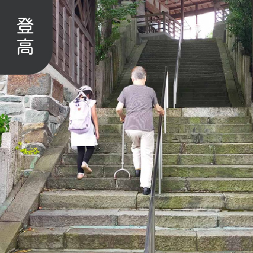 樂高杖-平地/樓梯拐杖、起身扶手