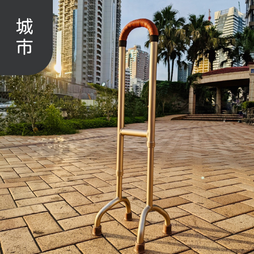 樂高杖-平地/樓梯拐杖、起身扶手