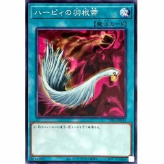 TT01-JPB19 ハーピィの羽根帚 神鷹羽毛掃