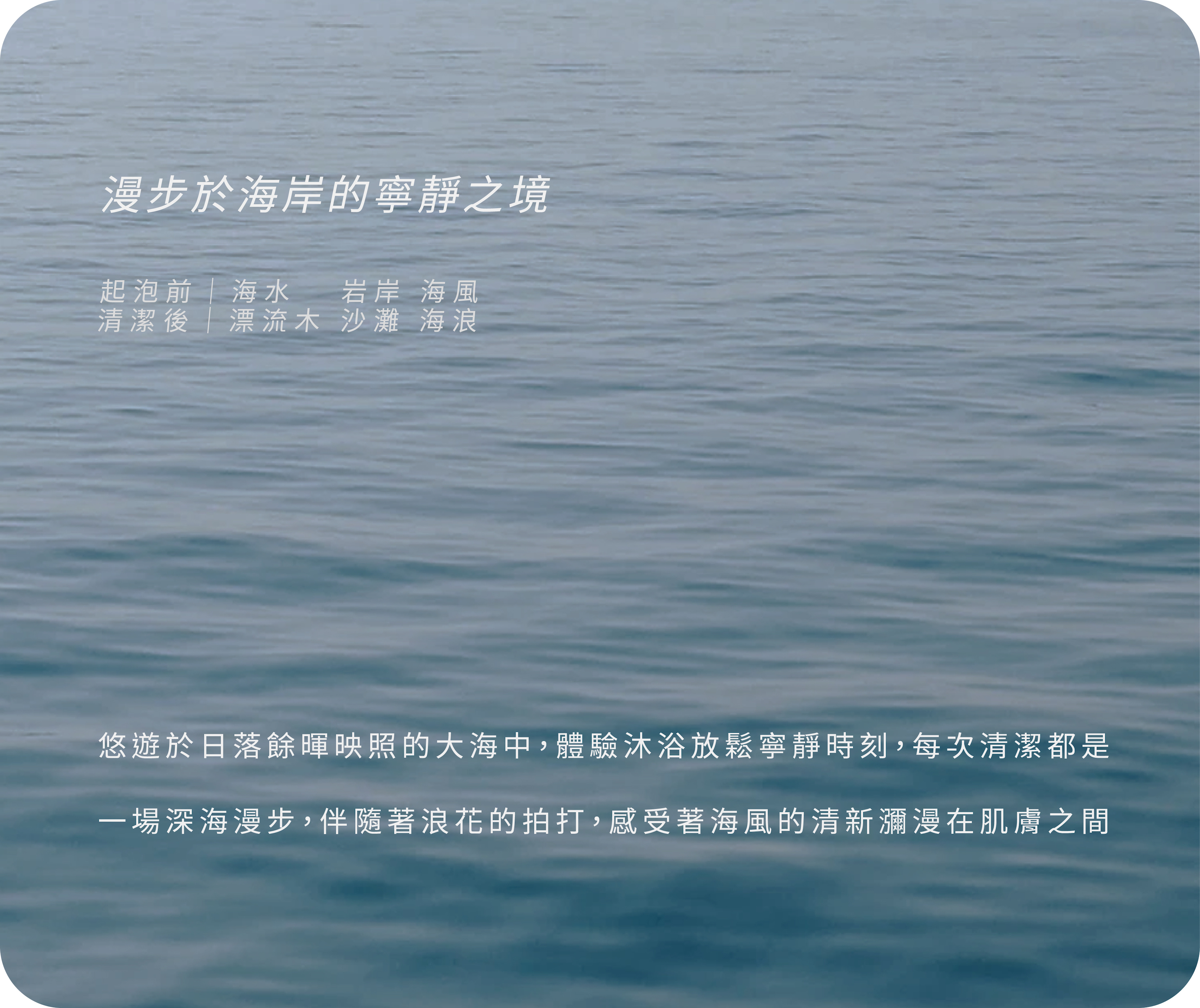 漫步於海岸的寧靜之境