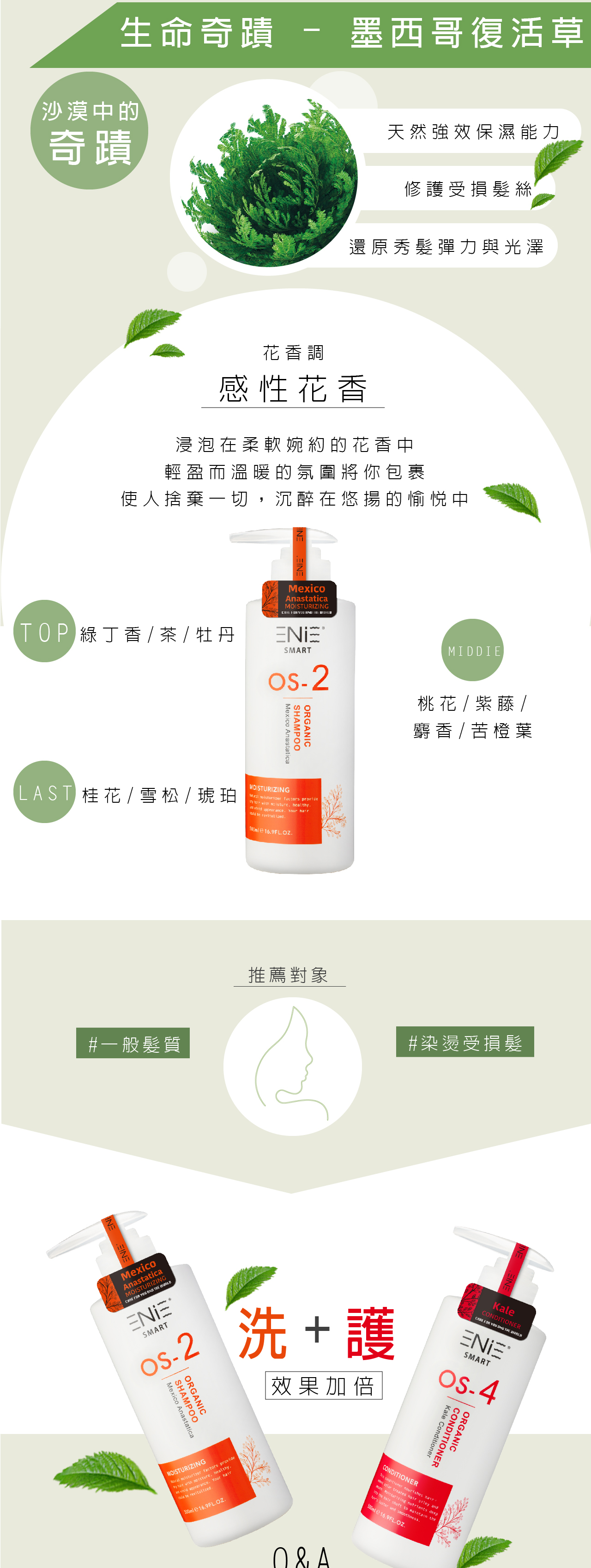 墨西哥復活草髮浴,復活草洗髮精,保濕洗髮精,護色洗髮精,無矽靈洗髮精,沙龍洗髮精,有機洗髮精,天然洗髮精,植萃洗髮精,本草洗髮精,草本洗髮精,髮廊推薦,沙龍設計師推薦,保濕洗髮精推薦,護色洗髮精推薦,洗髮精推薦dcard