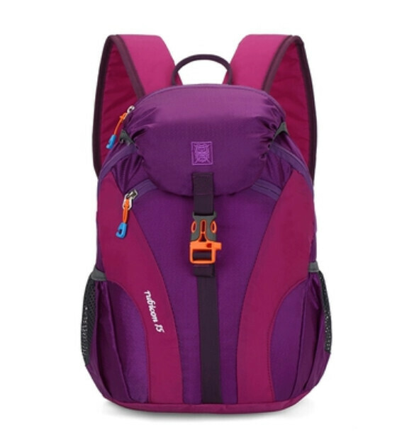 New lightweight backpack (large purple size)