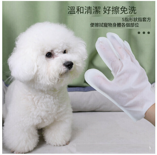 熱推寵物免洗手套 濕紙巾（一次性免洗手套 6片裝）