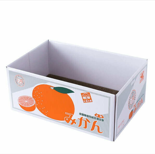 熱賣(款色隨機) 瓦楞貓窩紙箱 Cat Carton 貓窩抓板  紙屋 紙箱 貓抓板  貓咪玩具