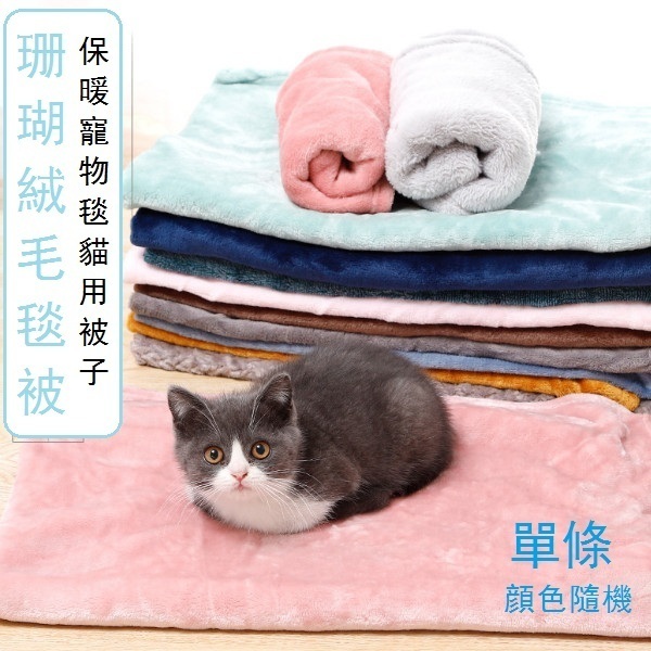 熱推純色珊瑚絨寵物毛毯-單條（顔色隨機）（小號：45*70CM)