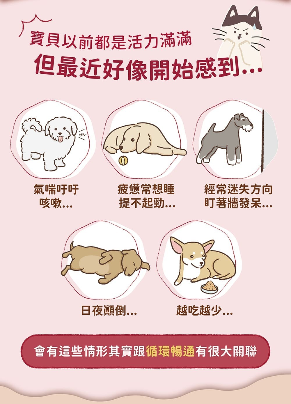 Blue Bay倍力®心蚓力｜心臟專護保健粉30粒裝