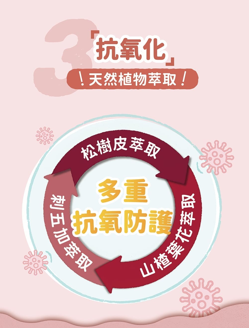 Blue Bay倍力®心蚓力｜心臟專護保健粉30粒裝