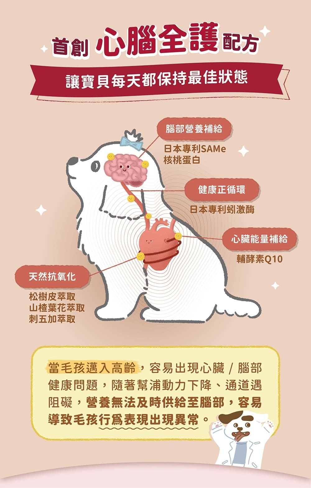 Blue Bay倍力®心蚓力｜心臟專護保健粉30粒裝