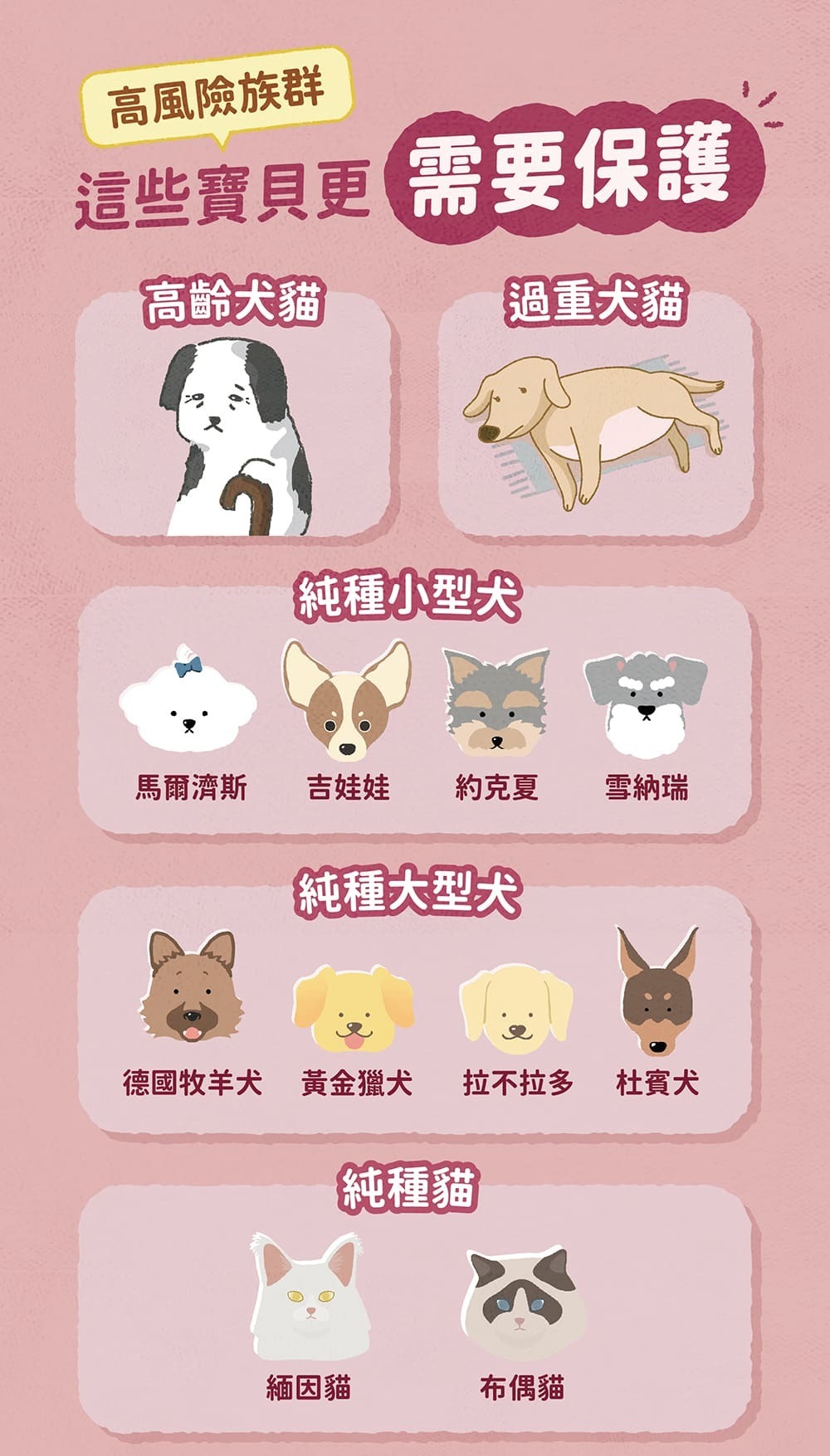 Blue Bay倍力®心蚓力｜心臟專護保健粉30粒裝