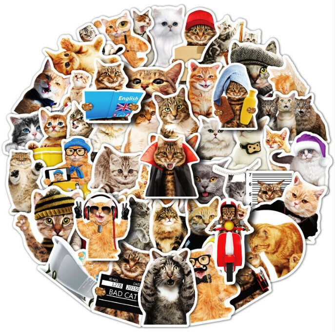 新款小貓咪不乾膠防水貼紙（T01040478寫實貓50張）
