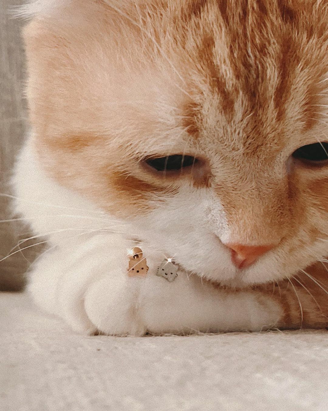 The charming cat 🐾 萌貓臉鎖珠耳環 - 316L
