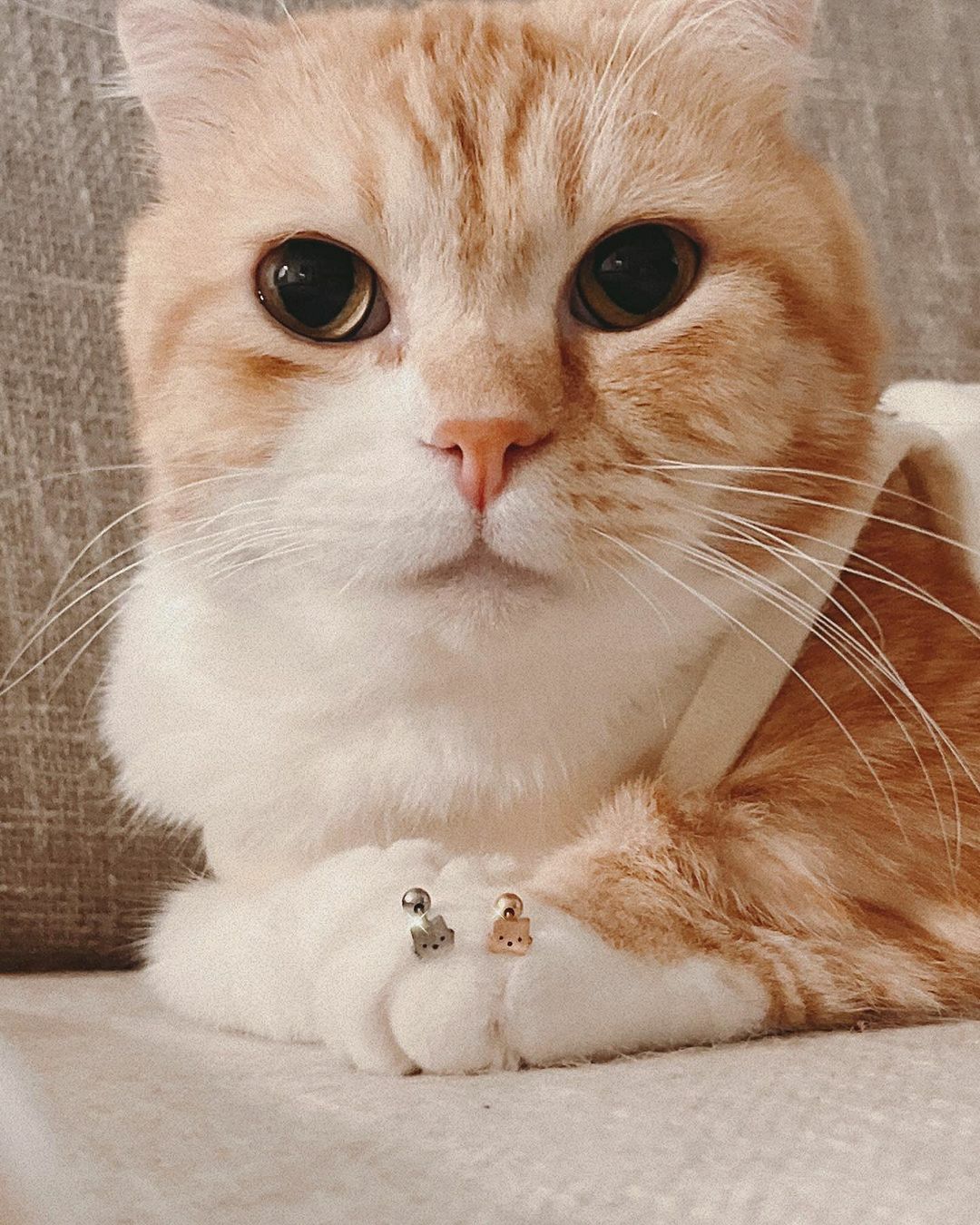 可愛萌寵萌貓臉鎖珠耳環