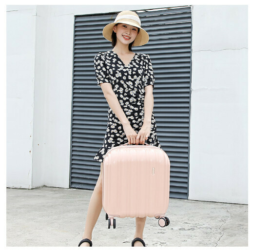 Hot recommended luggage [Cornus powder (with USB and free transparent case cover)] (size: 18 inches: 42cm * 25cm * 52cm)