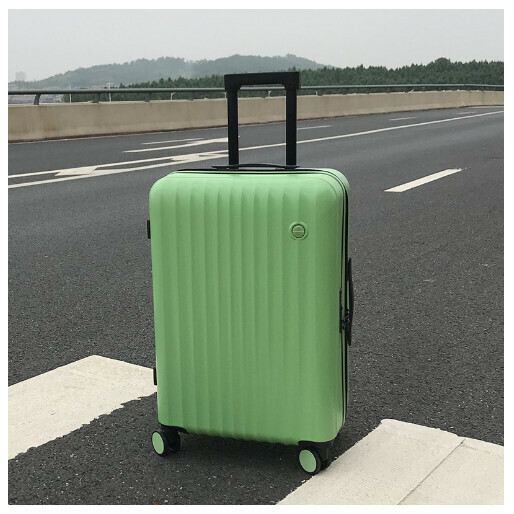 Hot recommended suitcase suitcase [Green Grass] (size: 20 inches)