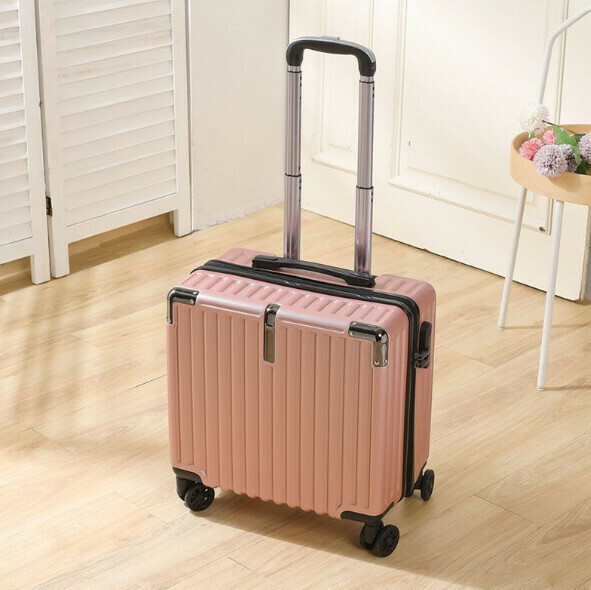 Hot push mini trolley suitcase [18 inches - two sections trolley] [Rose Gold]