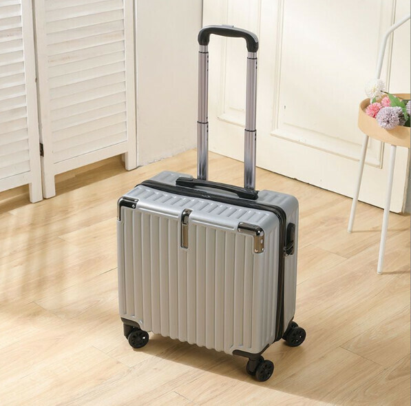 Popular mini trolley suitcase [18 inches - two sections trolley] [luxury silver]