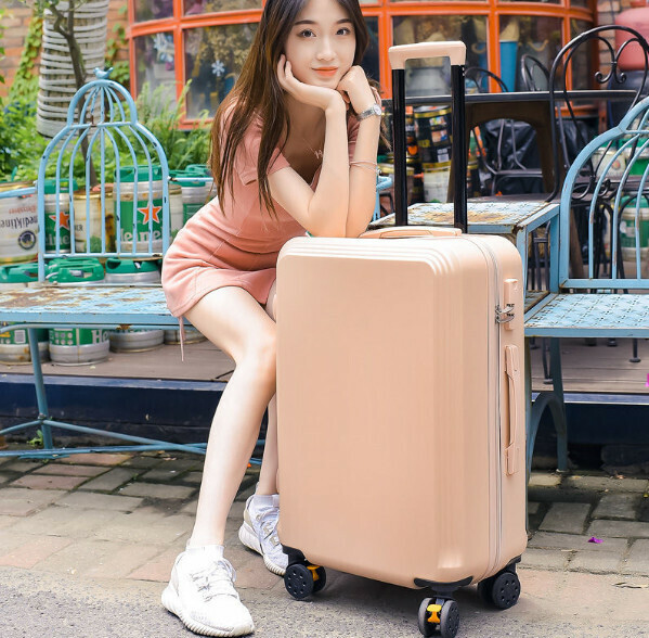 Hot selling trolley suitcase password box [24 inches] [ladder style-Cornus powder]