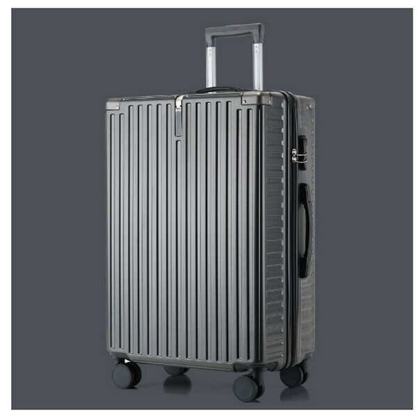 Hot selling combination lock suitcase (iron gray 299 models 22 inches)