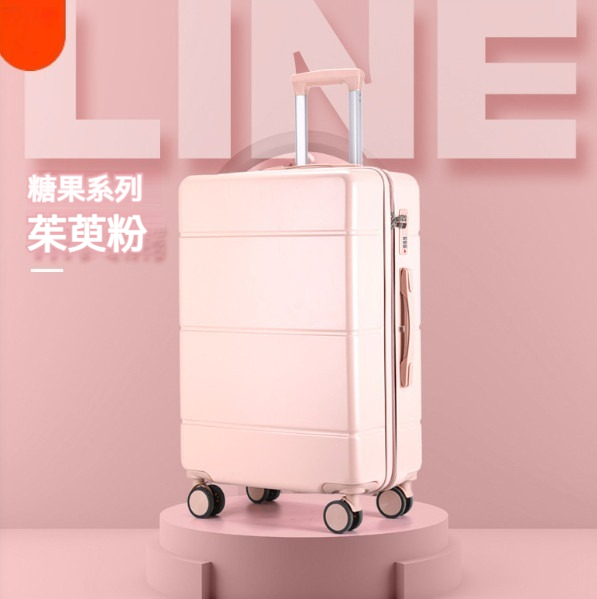 Hot Selling Multifunctional Luggage [24 Inch] [Cornus Powder]