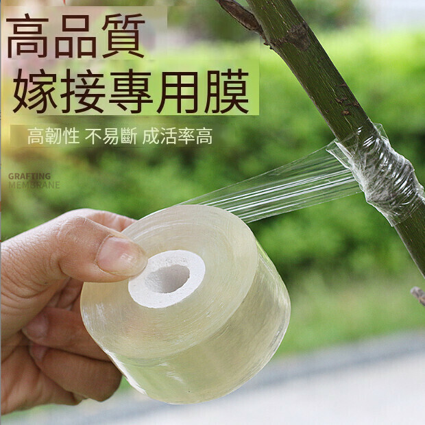 Gardening tools fruit tree grafting film [3 cm yellow grafting film]