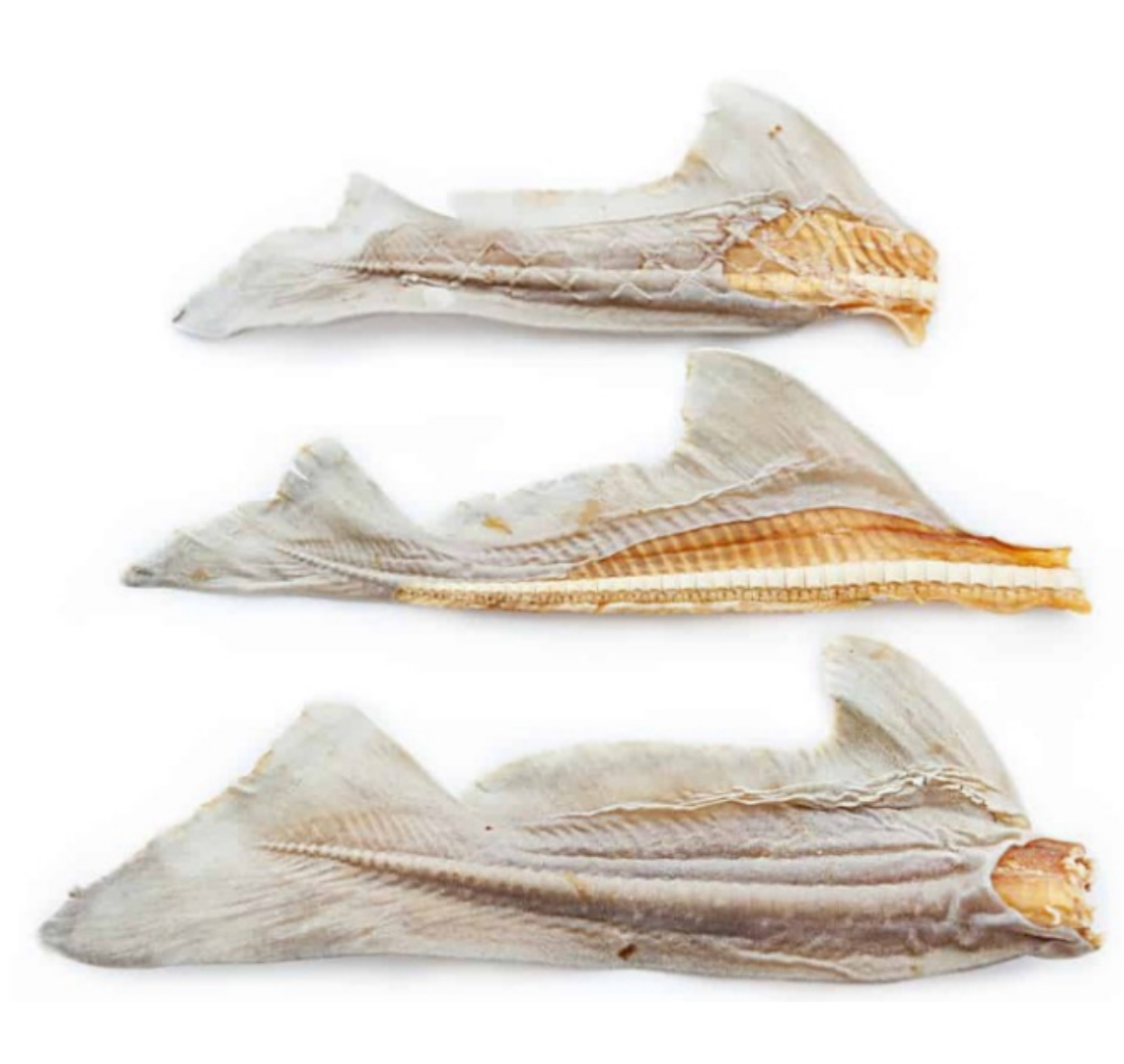 Yasumi Kitchen 高級特製鯊魚尾凍乾 500g (貓狗食用)