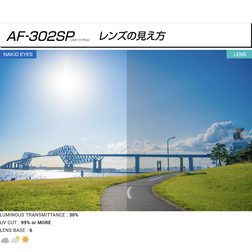 日本製 AirFly AF-302SP C-1 運動太陽眼鏡備用鏡片 - Light Smoke