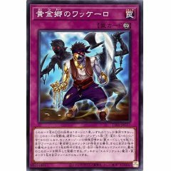 TT01-JPC17 黄金郷のワッケーロ(黃金鄉的盜墓者)x2 永續陷阱