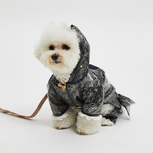 Louisdog 蕾絲雨衣