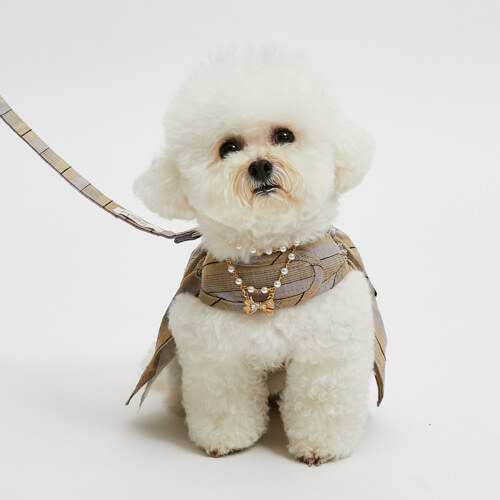 Louisdog 長灘胸背衣牽繩組