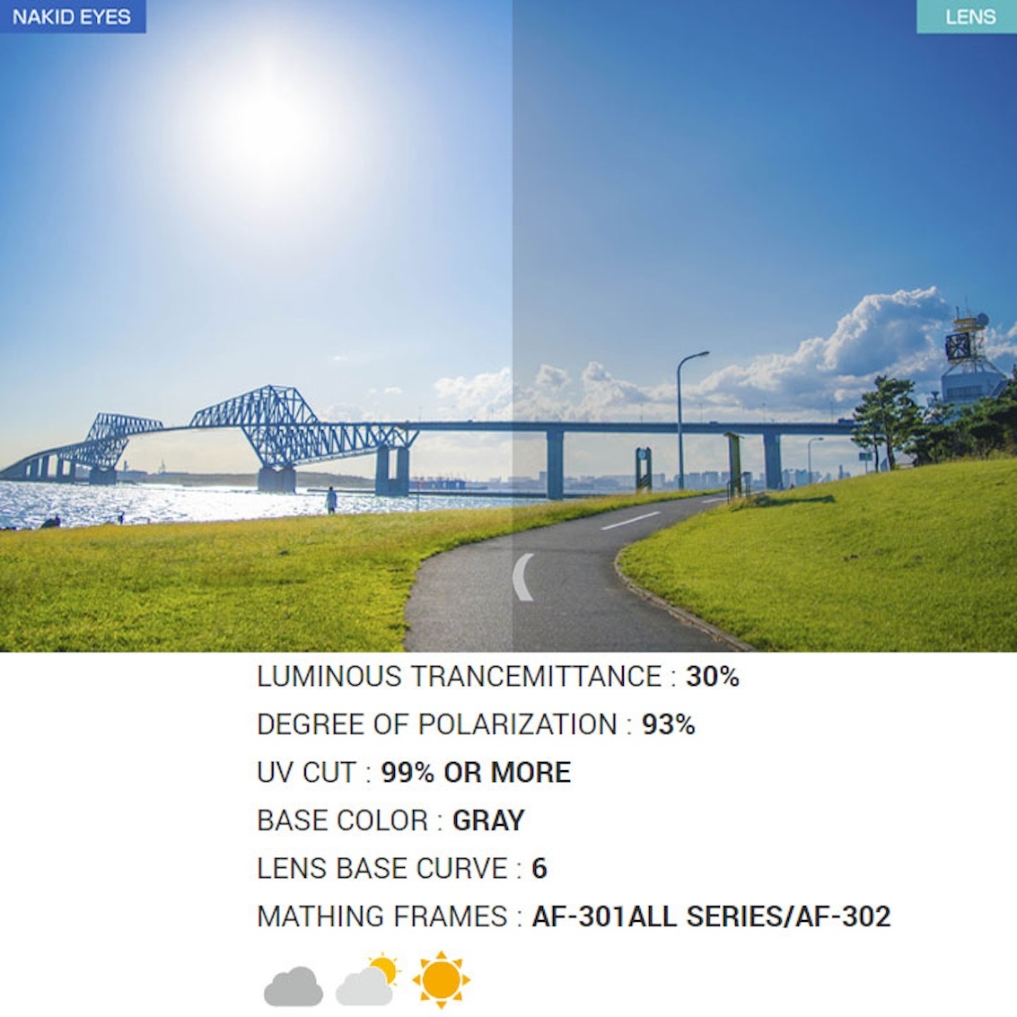 日本製 AirFly AF-301 C-33 WV 運動廣角太陽眼鏡 (近視框不適用)