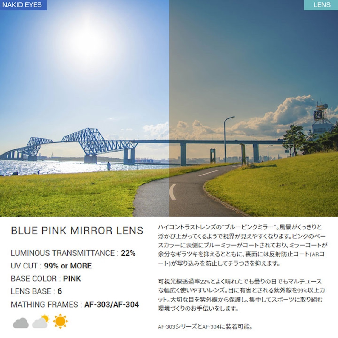 日本製 AirFly AF-304 C-2 女士運動太陽眼鏡