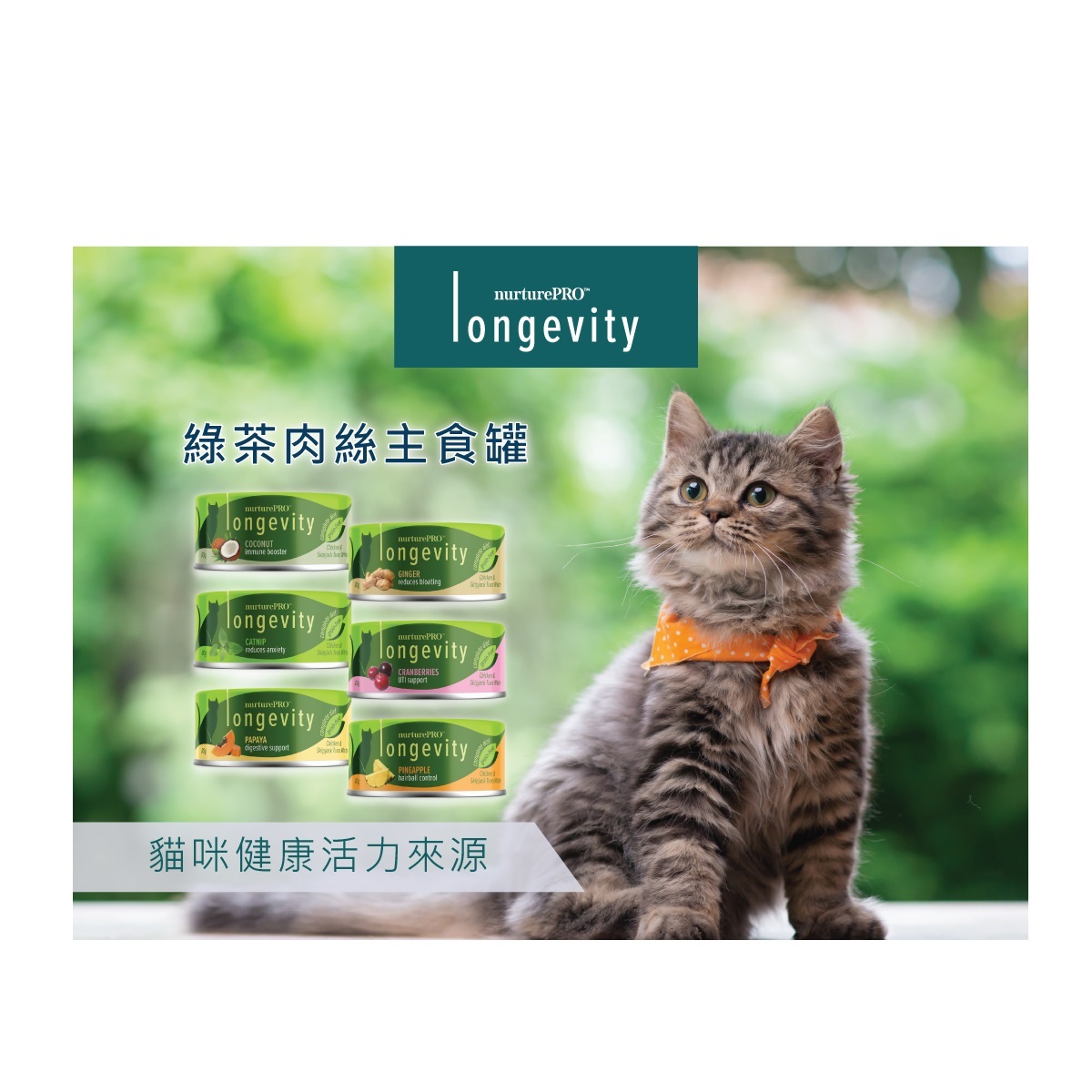 NurturePRO Longevity 綠茶肉絲主食罐系列