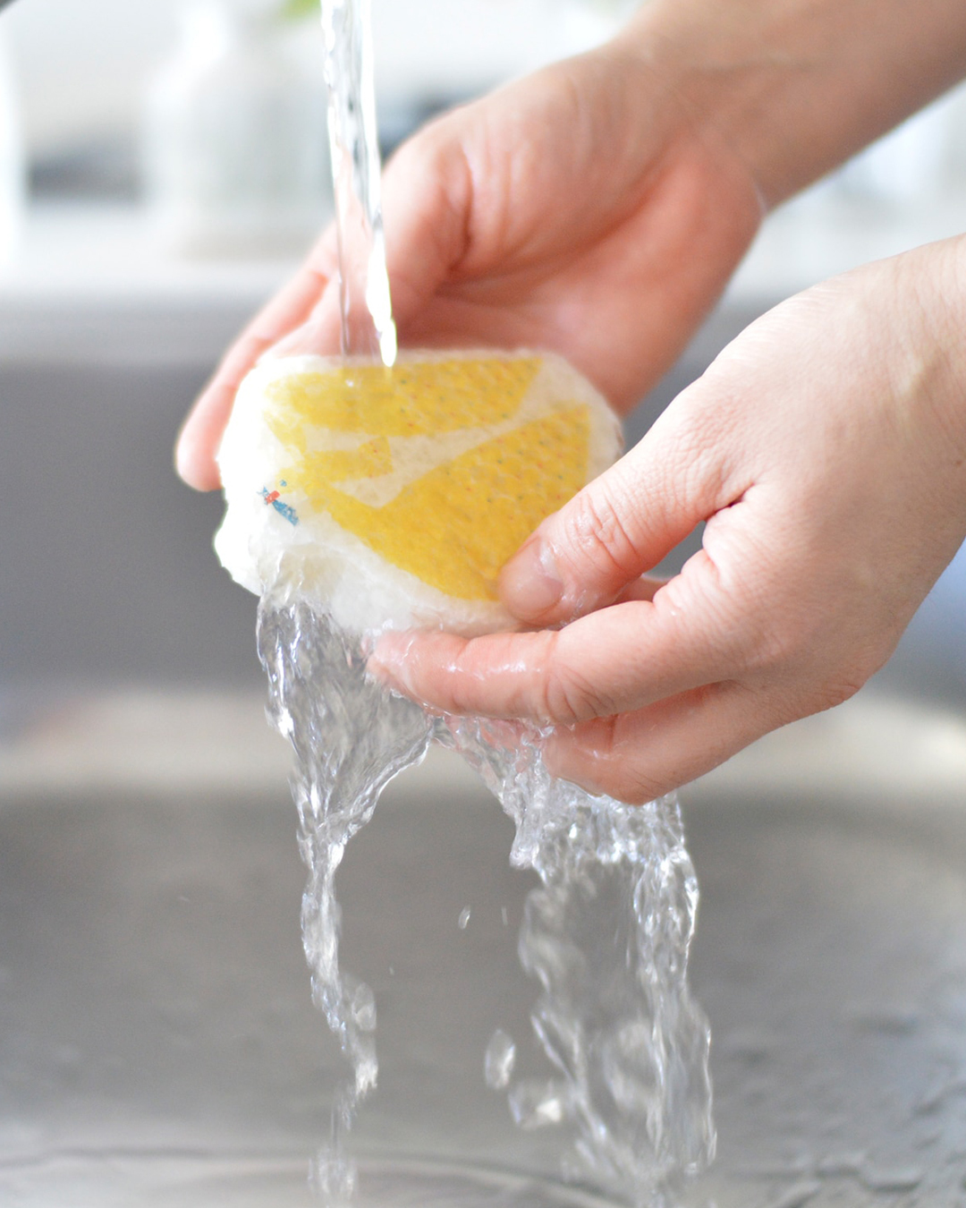 植物纖維吸水海綿 海鷗｜kata kata