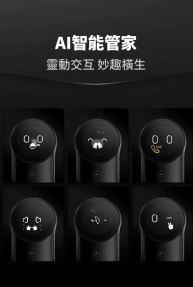 (包安裝連兩年保養) DESMAN 德施曼 R9 電子門鎖