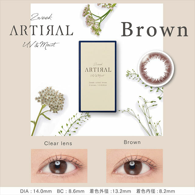 [兩星期] Artiral 2week UVM Brown 兩星期拋棄型有色彩妝隱形眼鏡｜每盒6片