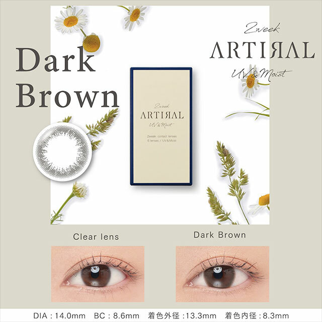 [兩星期] Artiral 2week UVM Dark Brown 兩星期拋棄型有色彩妝隱形眼鏡｜每盒6片