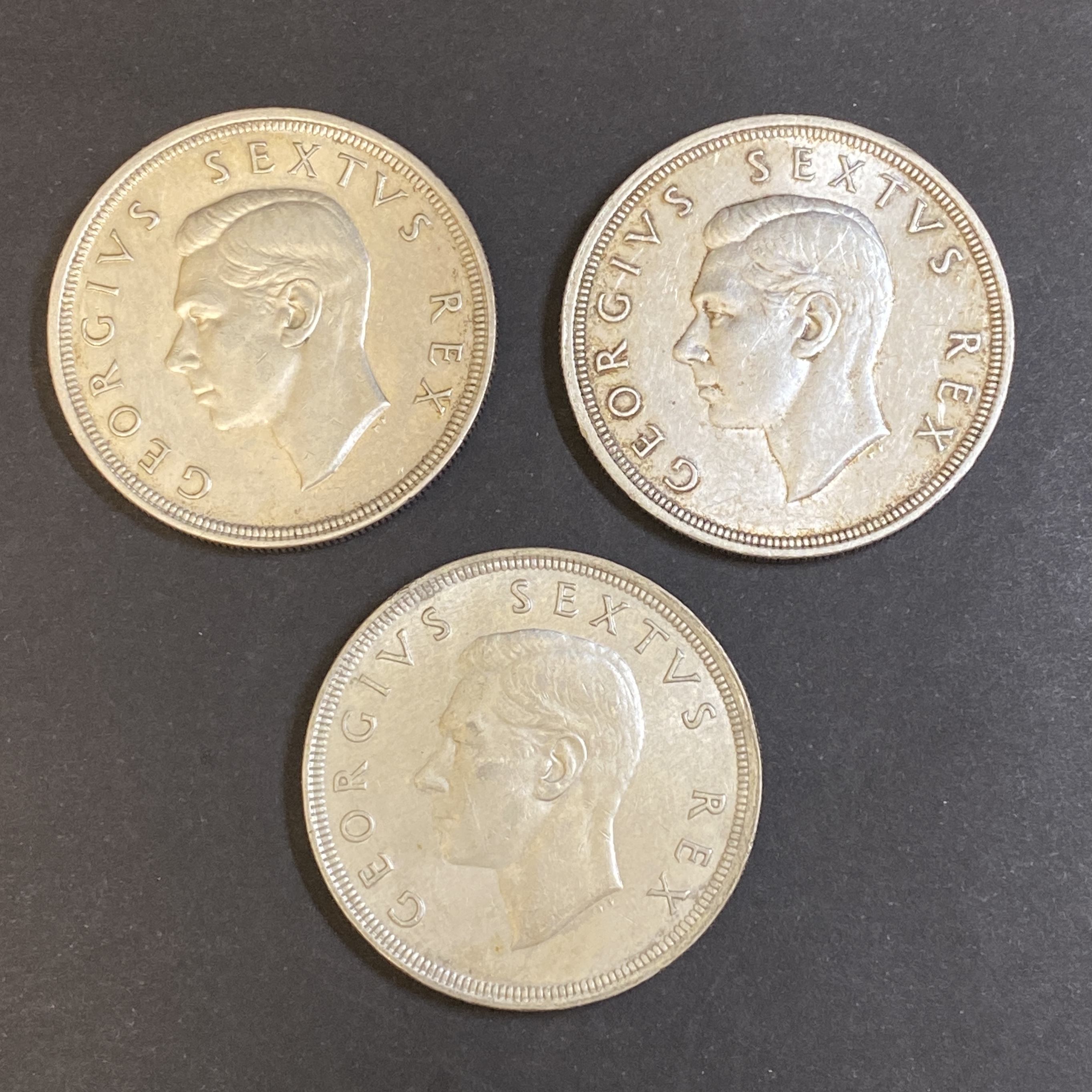 1949-1951 South Africa George VI 5 shillings silver coins, set of 3