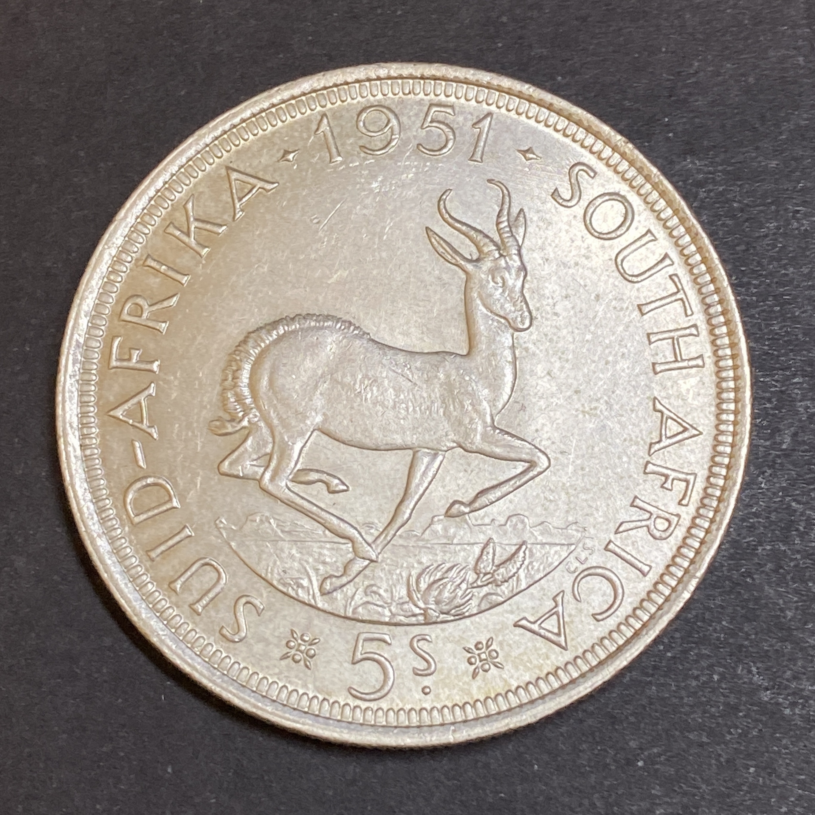 1951 South Africa George VI 5 shillings silver coins