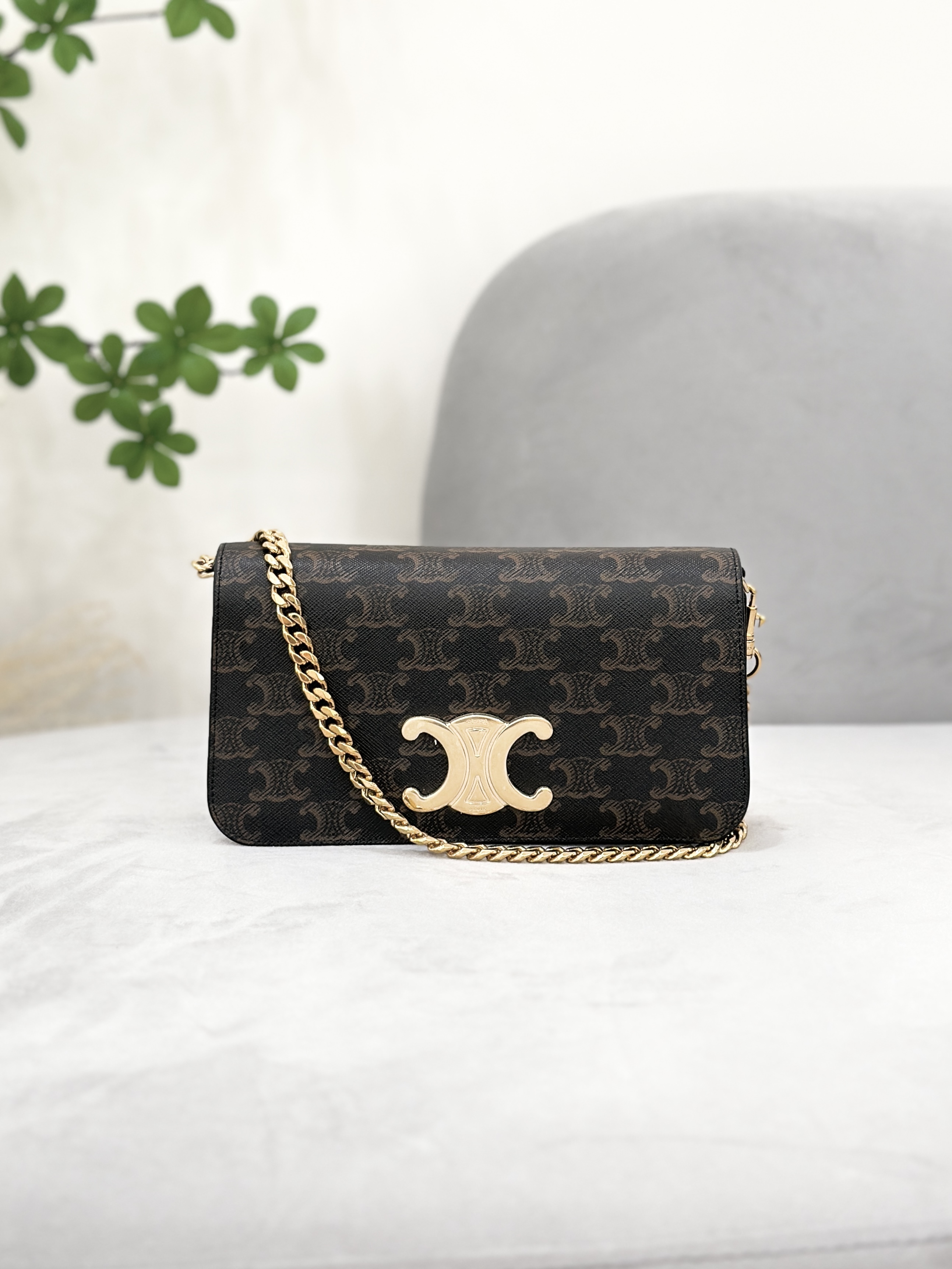 CELINE Multipochette