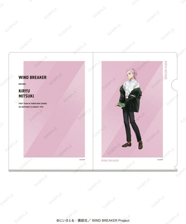 WIND BREAKER 現貨 大集會限定 A4 FILE 桐生三輝
