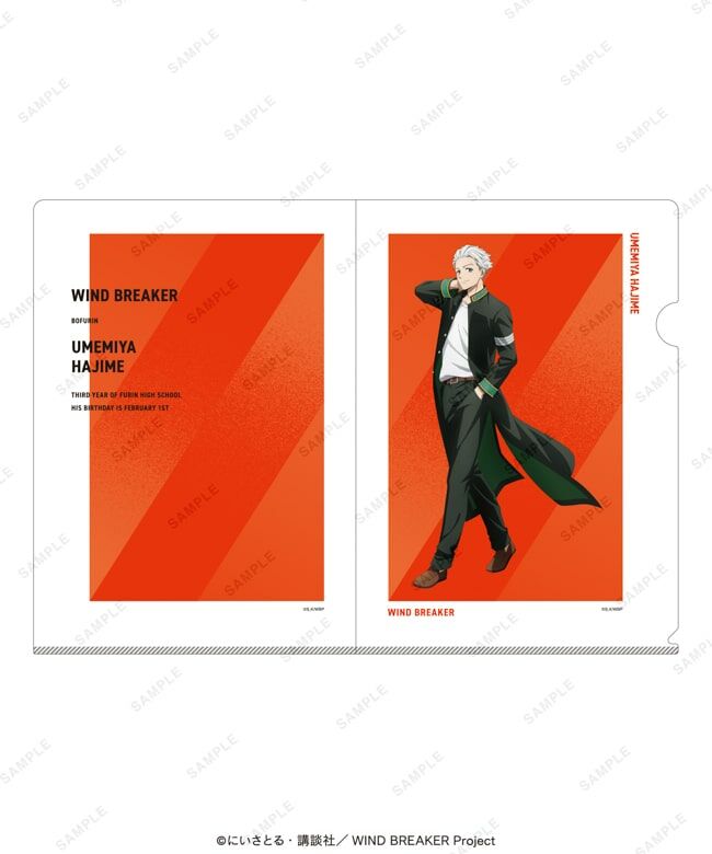 WIND BREAKER 現貨 大集會限定 A4 FILE 梅宮一
