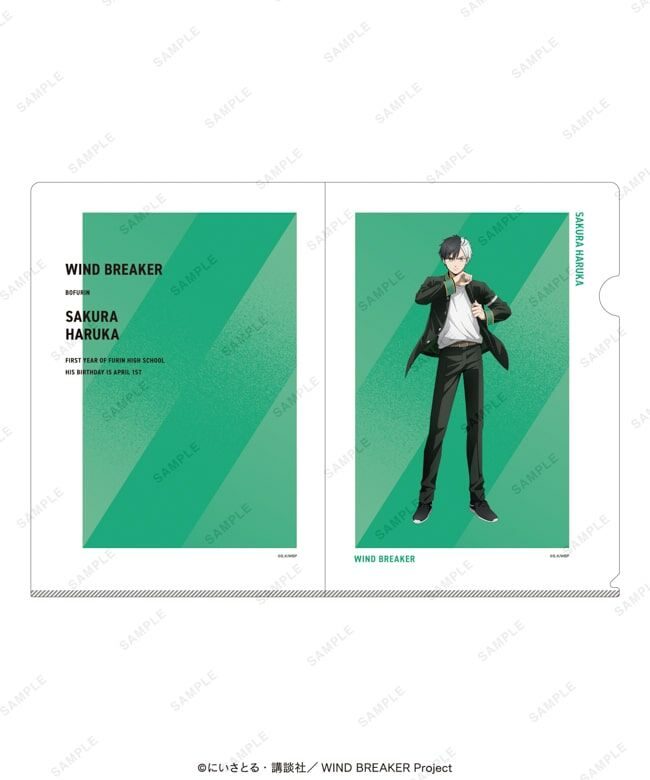 WIND BREAKER 現貨 大集會限定 A4 FILE 櫻遙