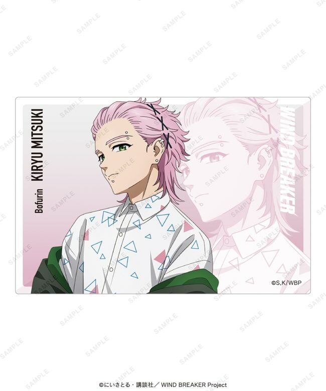 WIND BREAKER 現貨 大集會限定 亞加力磚 桐生三輝