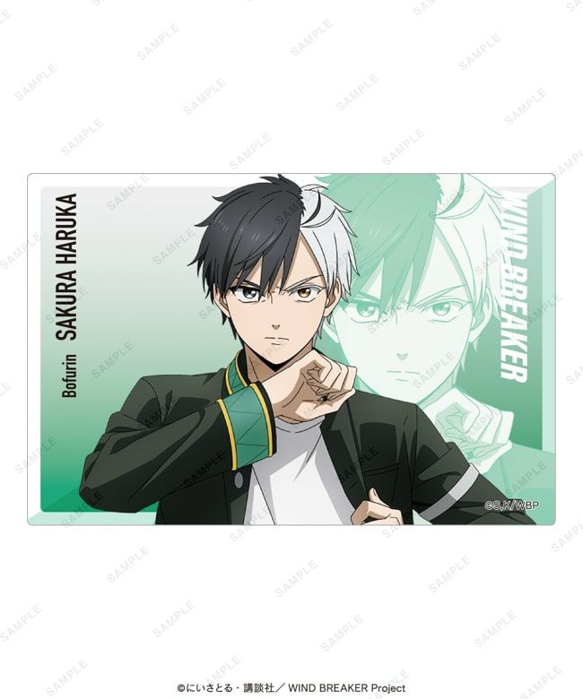 WIND BREAKER 現貨 大集會限定 亞加力磚 櫻遙